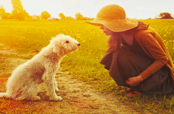 Big 98 2304 le chien sait communiquer avec l humain