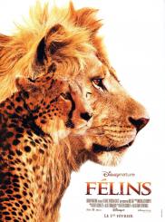 Felins