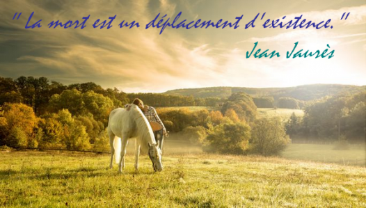 Animaux Decedes