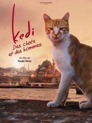 Kedi des chats et des hommes
