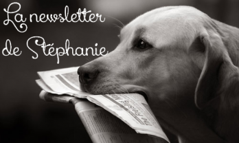 La newsletter de stephanie
