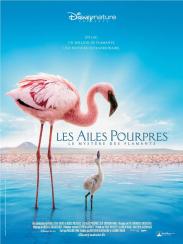 Les ailes pourpres le mystere des flamants
