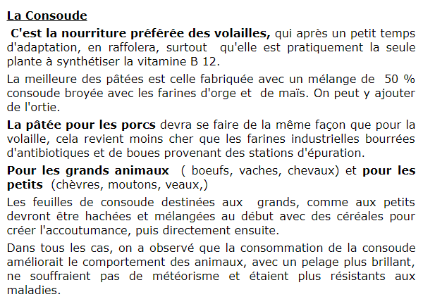 Sans titre 115