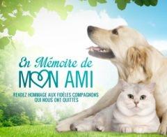 Animaux Decedes